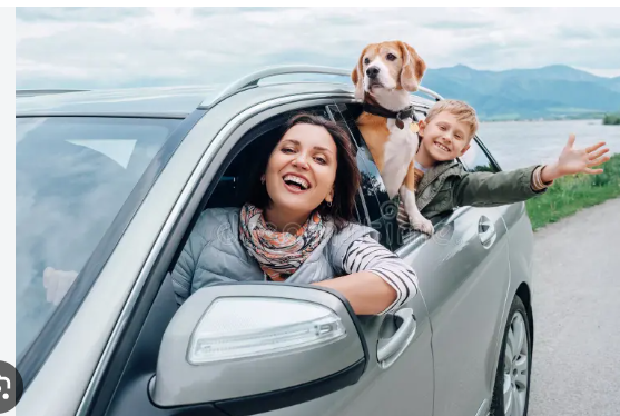 Família e cachorro aproveitando uma viagem de carro